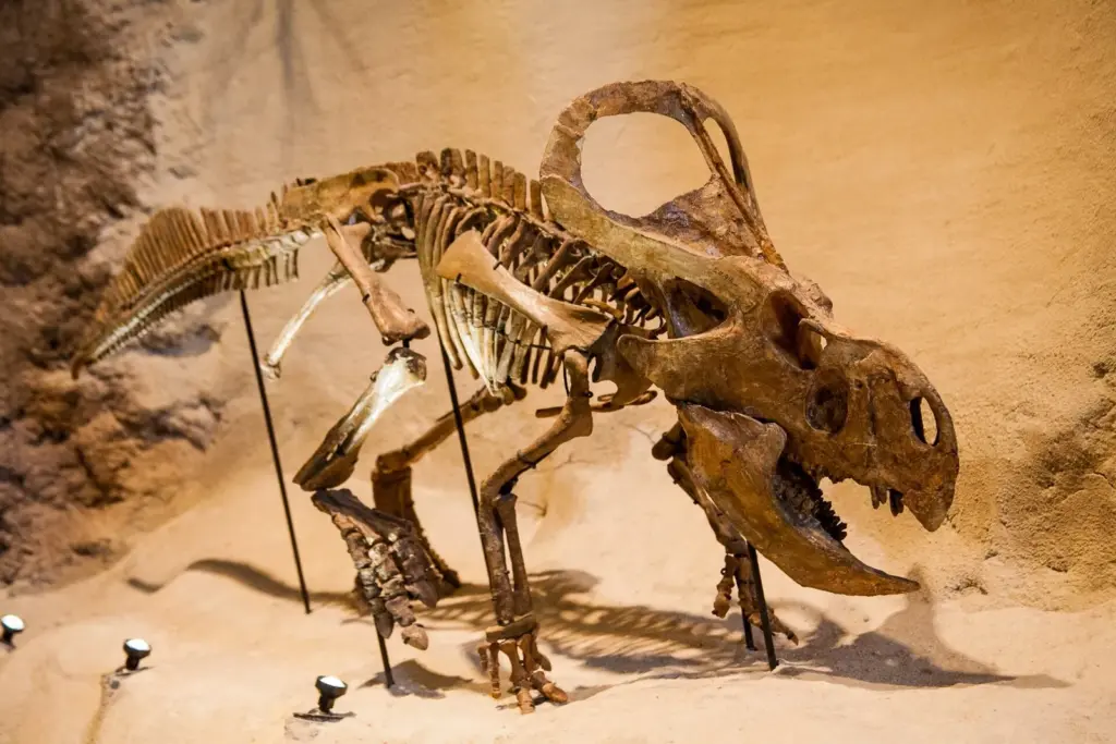 A Protoceratops skeleton mounted in a desert diorama at the Carnegie Museum of Natural History