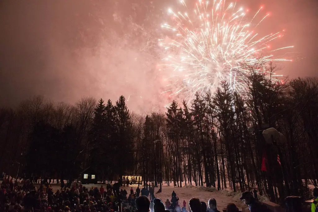 Fireworks bursting over the trees and the waiting crowd at Gobbler's Knob before dawn