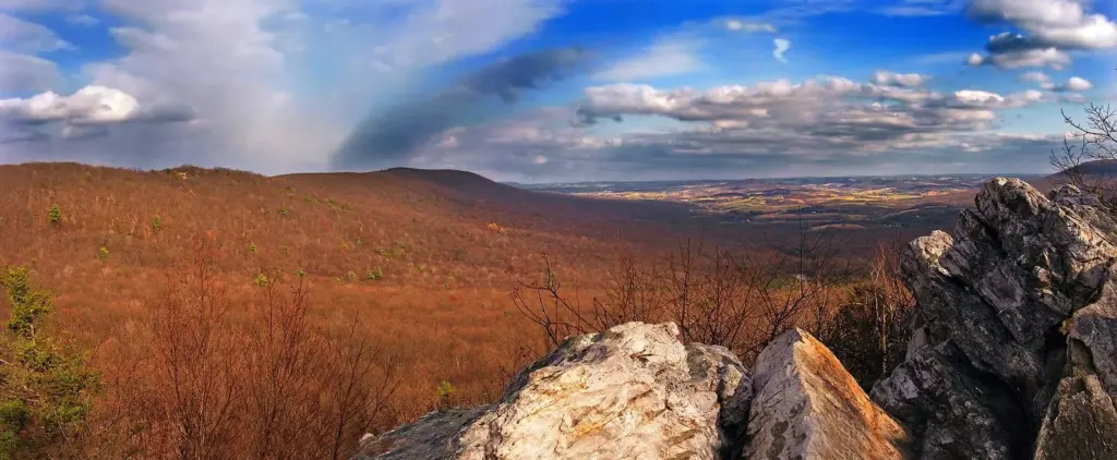 Russet oak forest stretching toward the Great Valley from a rocky vista at Hawk Mountain Sanctuary