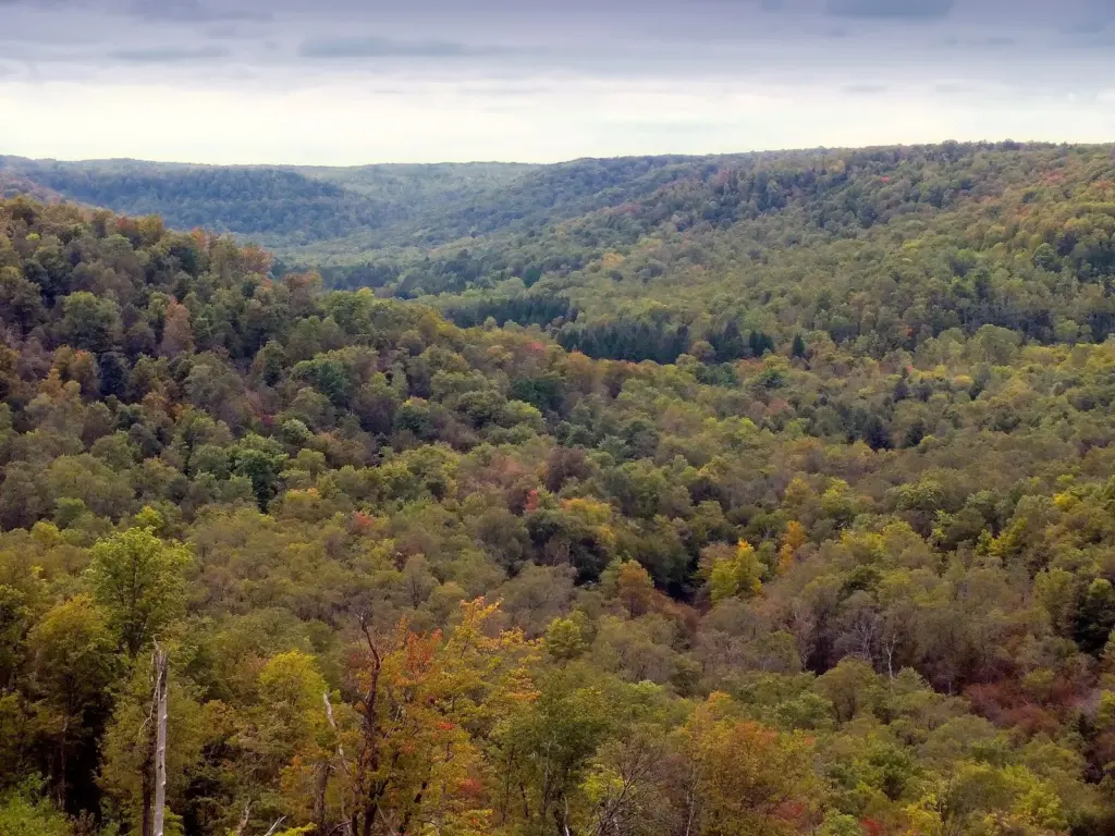 The Kinzua Gorge under low cloud, its wooded hillsides a mix of green, gold and rust