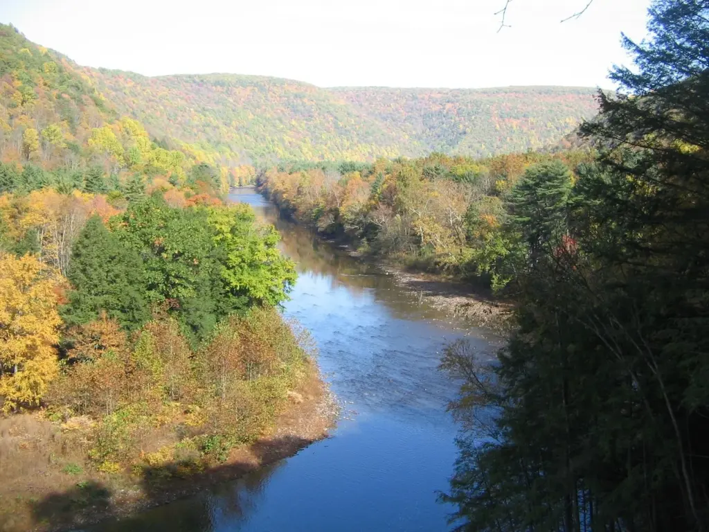 Loyalsock Creek flowing between wooded hills turning yellow and orange, seen from PA Route 87