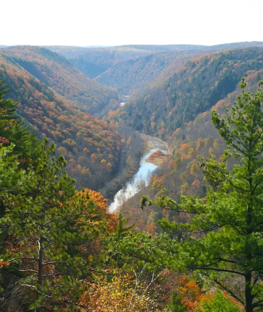 Pine Creek winding through the Pennsylvania Grand Canyon between hillsides of orange and yellow trees