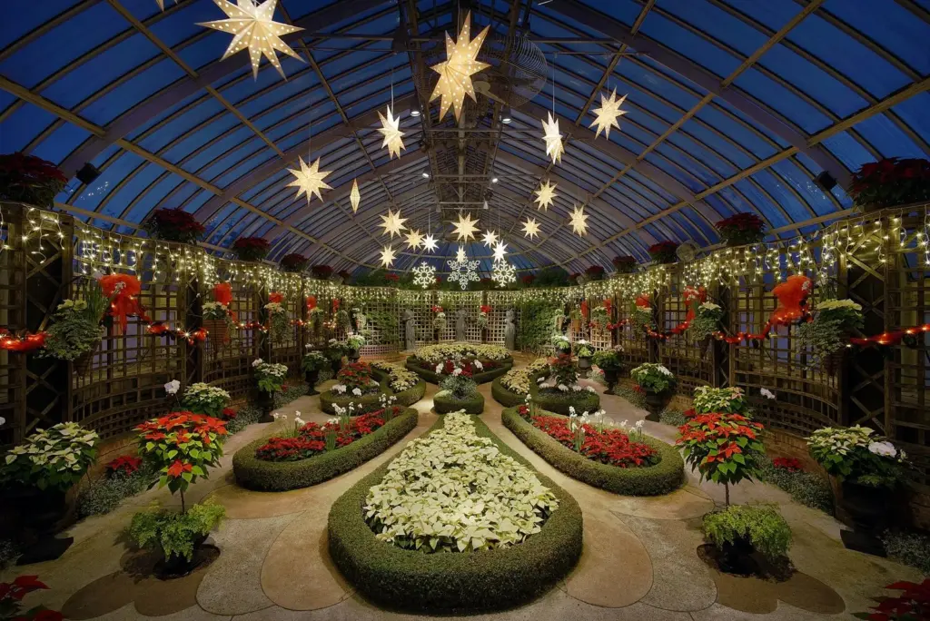 Poinsettias, clipped hedges and star lanterns under the glass roof of Phipps Conservatory's Broderie Room