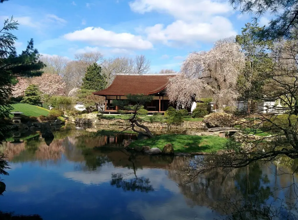 The Shofuso Japanese house reflected in its garden pond under spring blossoms