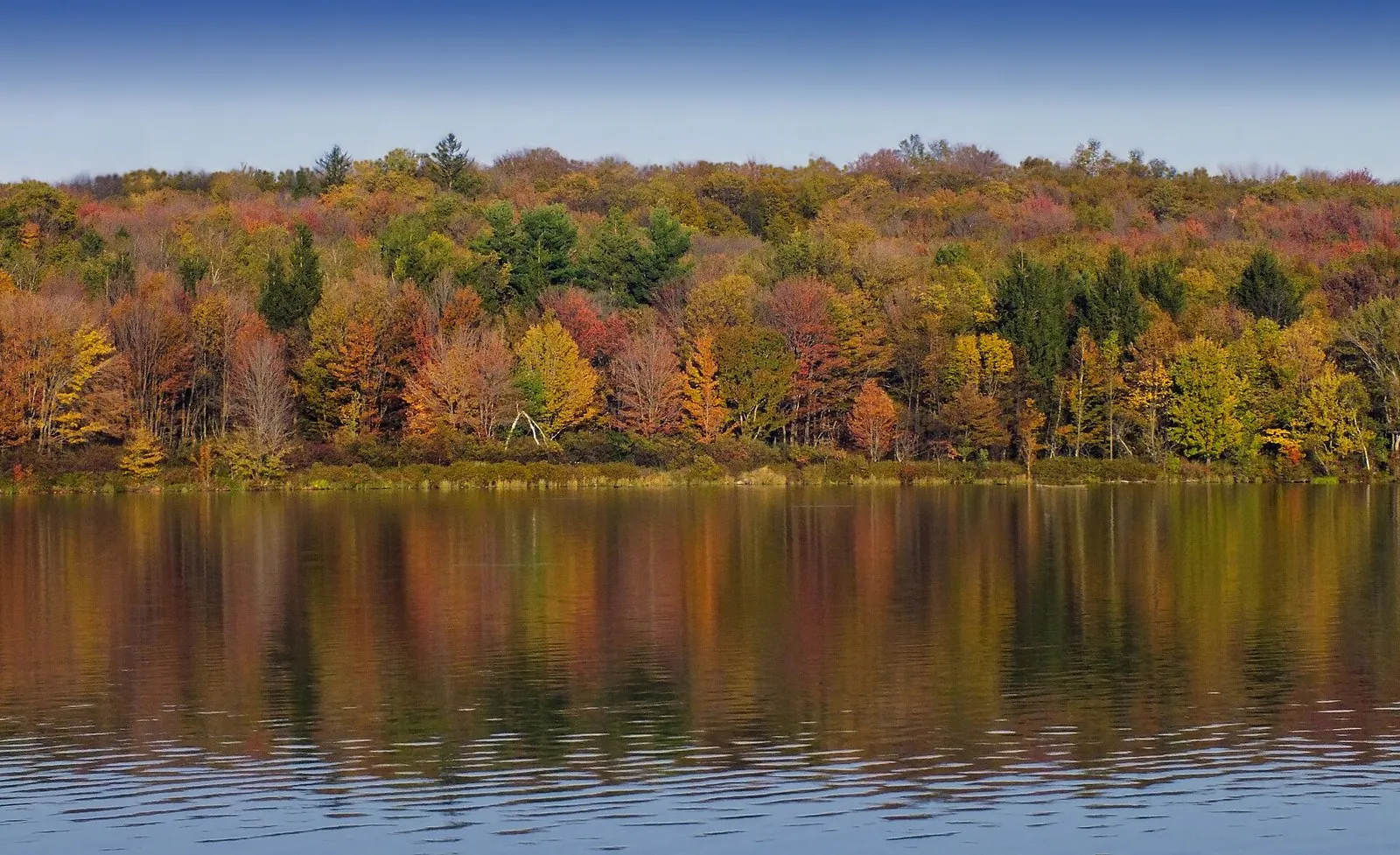 Promised Land Lake ringed by red, orange and gold October trees, one of the quiet things to do in the Poconos