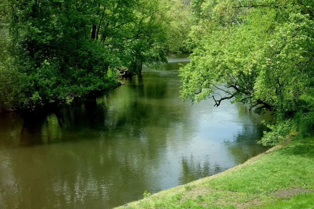Brandywine Creek curving between green banks beside the museum in Chadds Ford