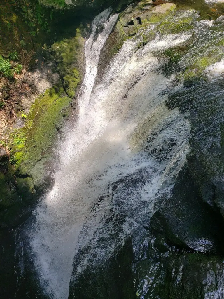 Bushkill's Main Falls plunging into a dark gorge between moss-covered rock walls