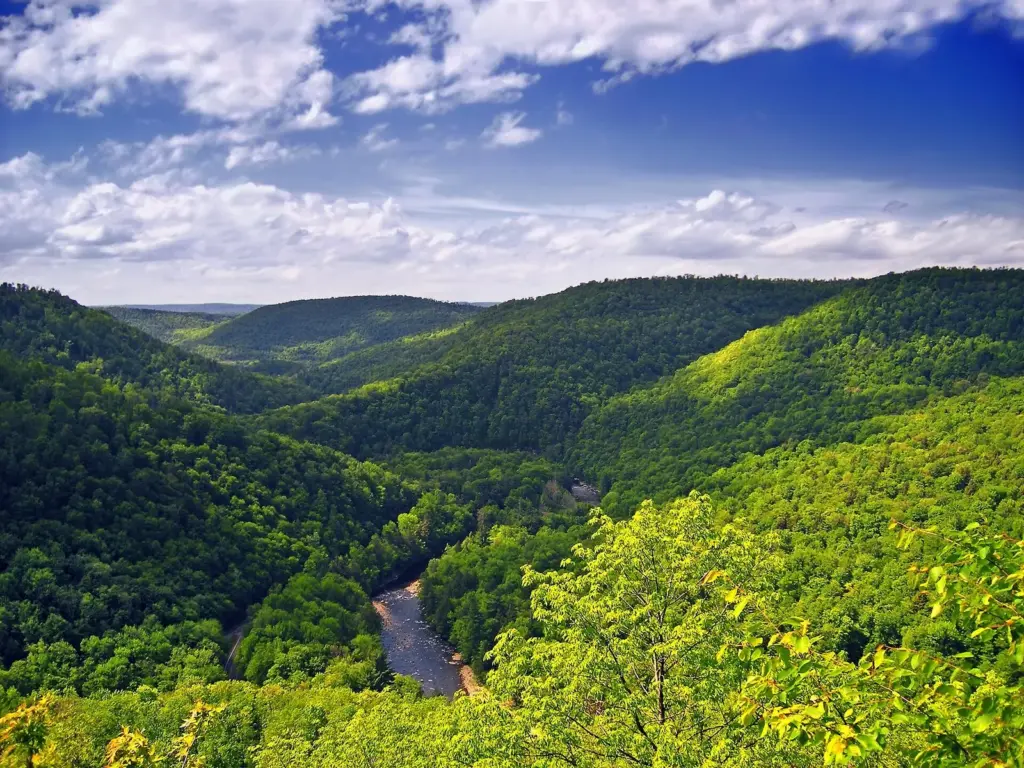 Loyalsock Creek gorge from Canyon Vista at Worlds End State Park