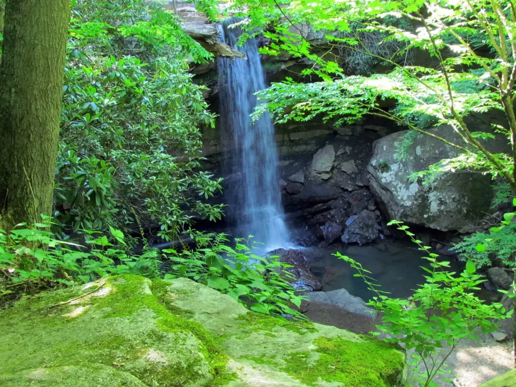 Cucumber Falls pouring over a rock ledge into a pool surrounded by summer greenery