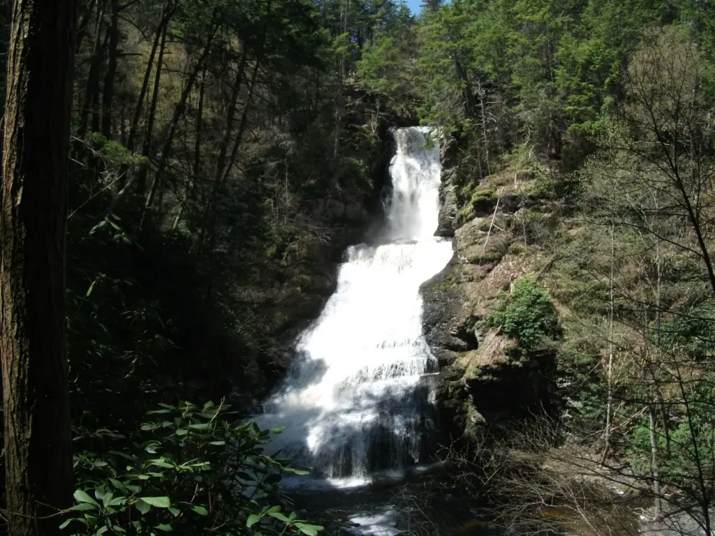 Dingmans Falls tumbling down a tall stepped cliff in a green forested ravine