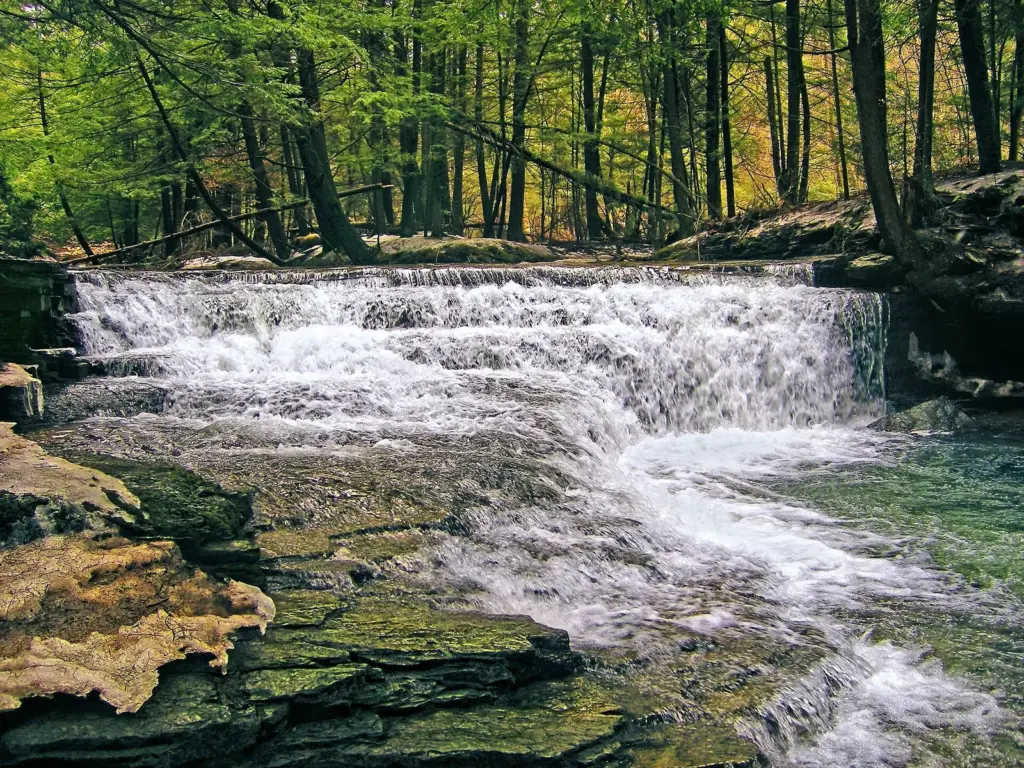 Water fanning over wide sandstone ledges on Fall Brook under tall hemlocks