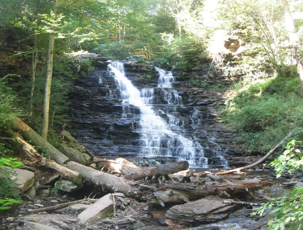 F.L. Ricketts Falls cascading over layered rock into a pool on Kitchen Creek