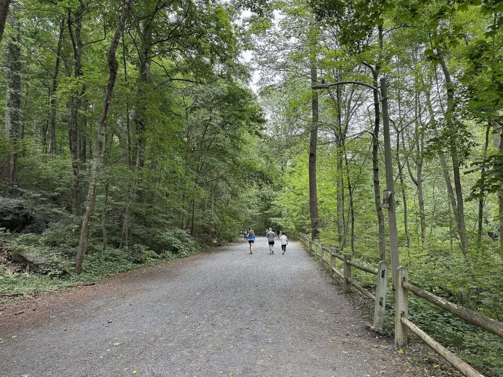 Forbidden Drive, a wide gravel trail under tall trees in Wissahickon Valley Park, Philadelphia