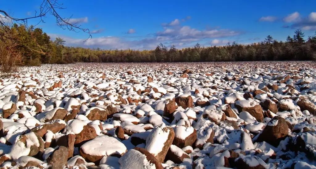 A wide, flat field of snow-dusted boulders ringed by forest at Hickory Run State Park