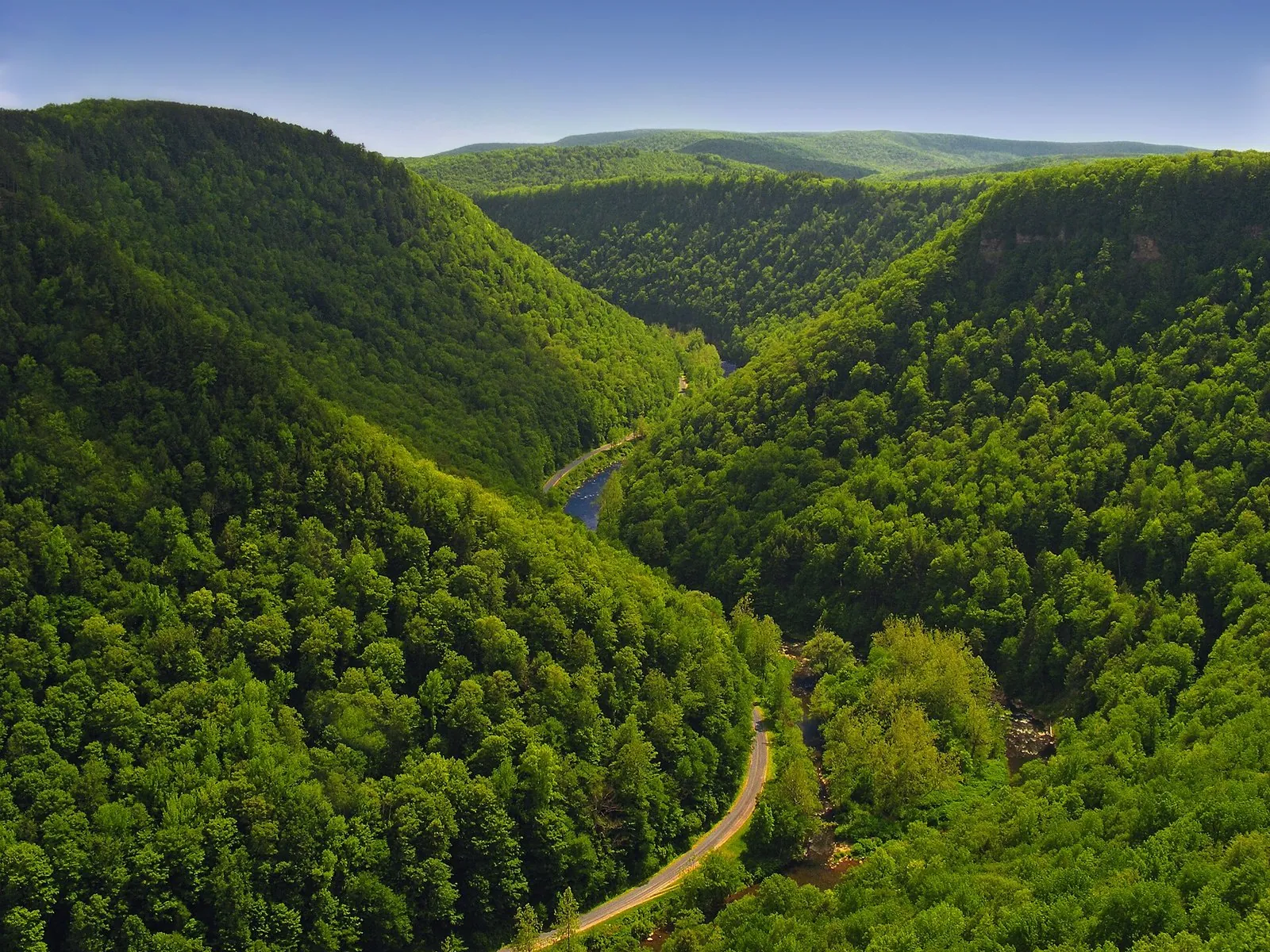 Pine Creek Gorge seen from the West Rim Trail, one of the classic routes for hiking in Pennsylvania