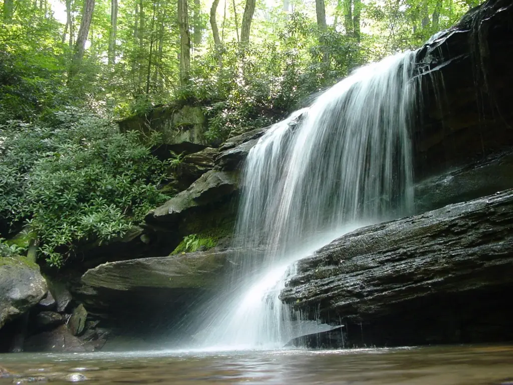 Jonathan Run Falls dropping from an overhanging rock ledge into a pool surrounded by greenery