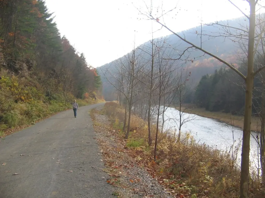 A walker on the gravel Pine Creek Rail Trail beside Pine Creek with fall-colored hills