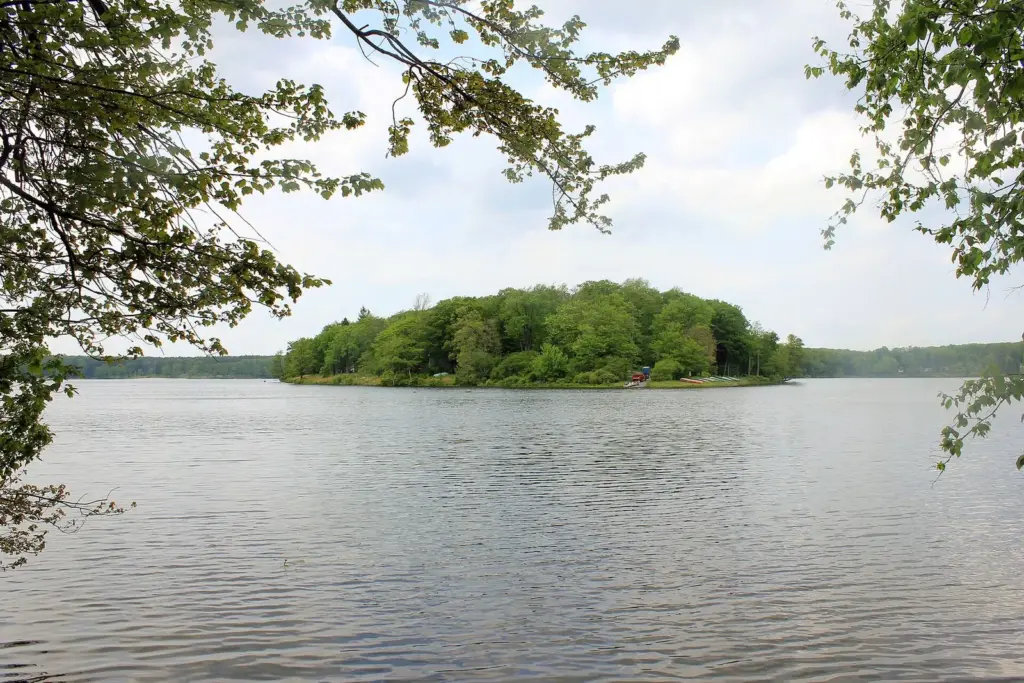 A small wooded island in the middle of Promised Land Lake framed by overhanging branches